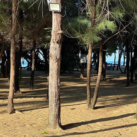 Omeesha Beach Hotel Kalpitiya Bagian luar foto